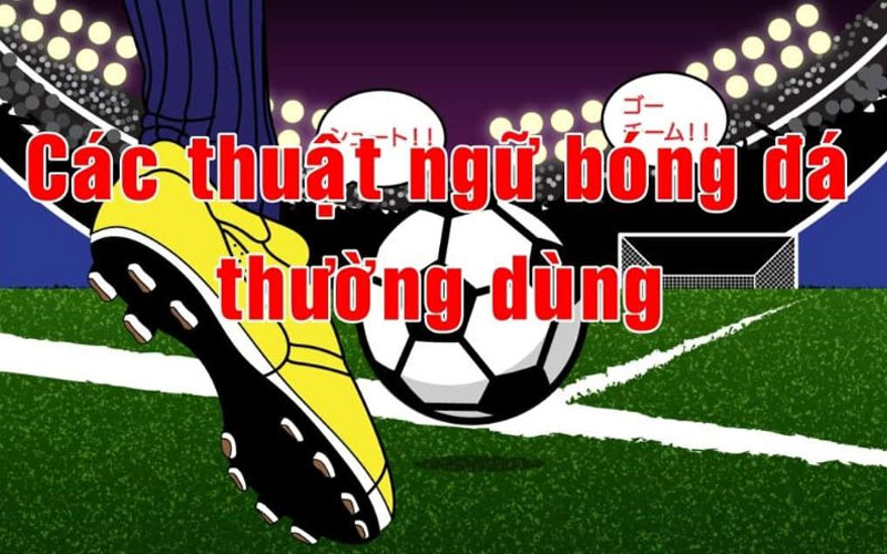 Các ký hiệu trong kèo Half Time/Full Time TDTC phải biết