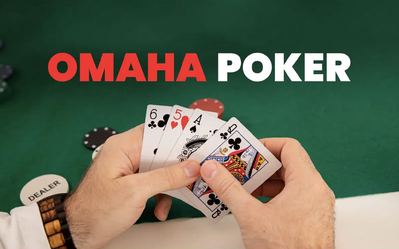 Hướng dẫn cách chơi Poker Omaha TDTC dành cho tân thủ