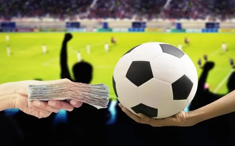 Cách đặt kèo Moneyline tại TDTC chi tiết và dễ hiểu