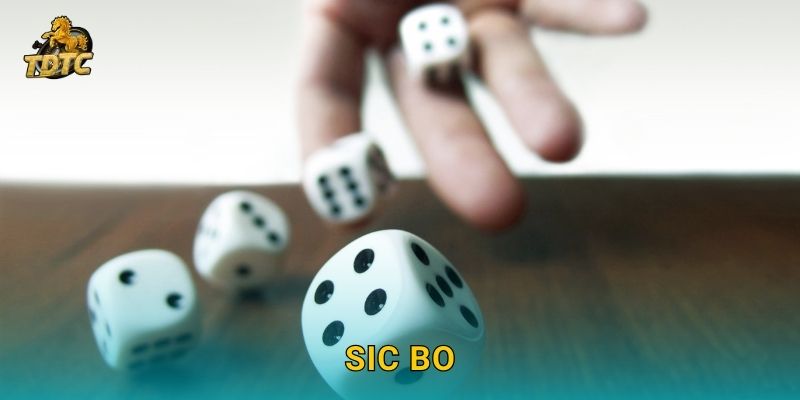 Sic Bo tại Tdtc hấp dẫn với tỷ lệ cược cao