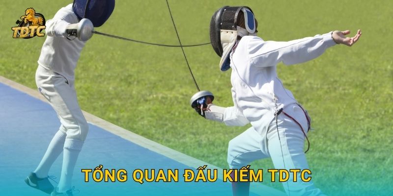 Đấu kiếm hấp dẫn tại Tdtc mang đến trải nghiệm mới lạ 2 Tổng quan Đấu kiếm Tdtc