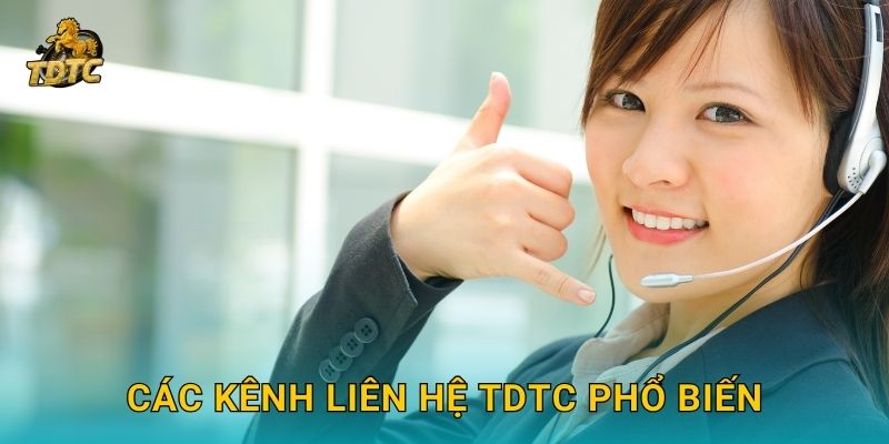 Liên hệ nhanh chóng với Tdtc hỗ trợ người chơi kịp thời 1 Các kênh Liên hệ Tdtc phổ biến